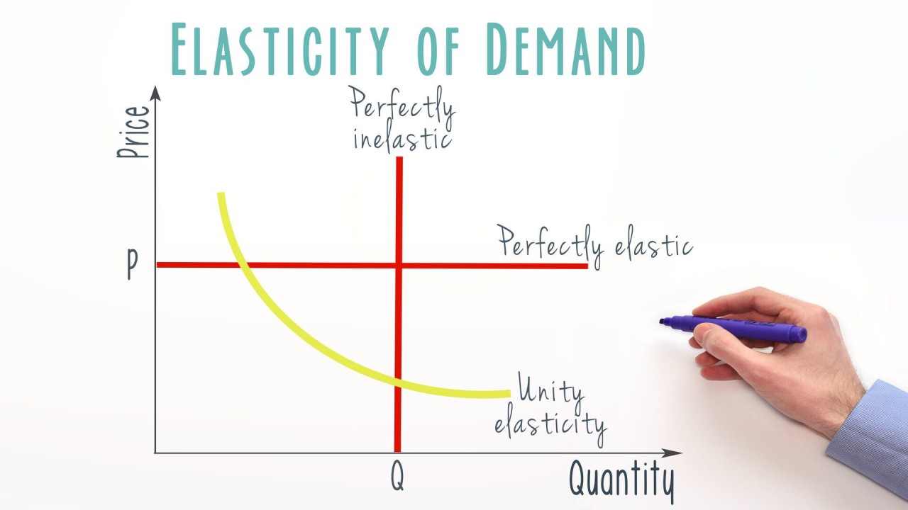 Understanding Price Elasticity of Demand: Unpacking Consumer Packaged Goods