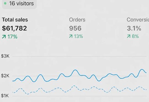 Scaling a Shopify Store: Why Systems Matter More Than Ad Spend